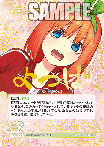 偶然？の出会い