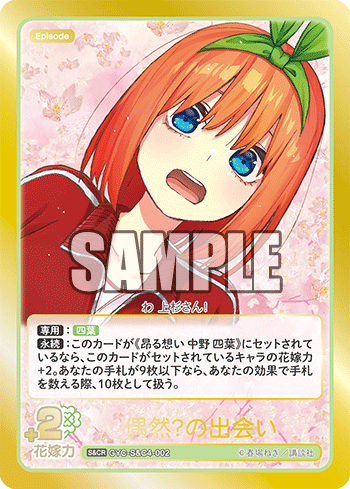 偶然？の出会い